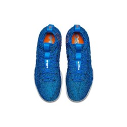 Nike LeBron 15 - Édition Limitée Prestige