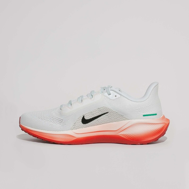 Nike Pegasus 41 - Pour Courir par Tous Temps