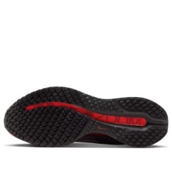 Nike Pegasus Premium - Chaussure Complète Coureur Accompli