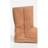 UGG Classic Short II 1016223 | Bottes Classiques